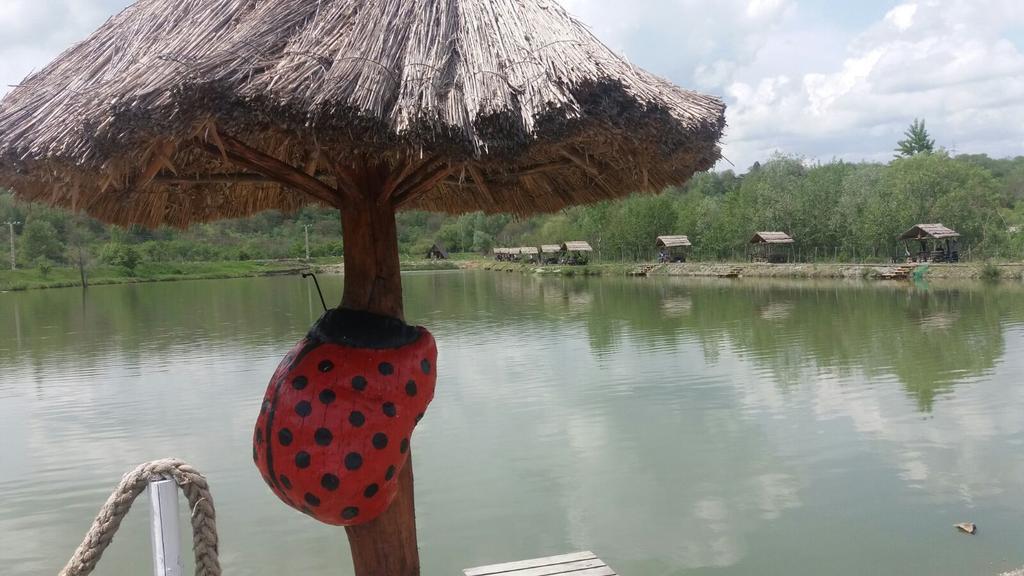 Pensiunea Dely_Cios Vălenii de Munte Extérieur photo