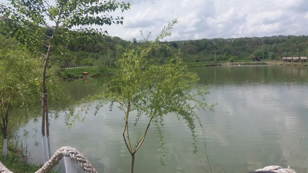 Pensiunea Dely_Cios Vălenii de Munte Extérieur photo